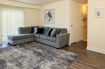 A grey sofa with pillows is in the middle of a room with a rug and a painting on the wall. at Painters Mill Apartments, Owings Mills, MD